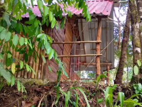 Glamping el Bosque San Luis